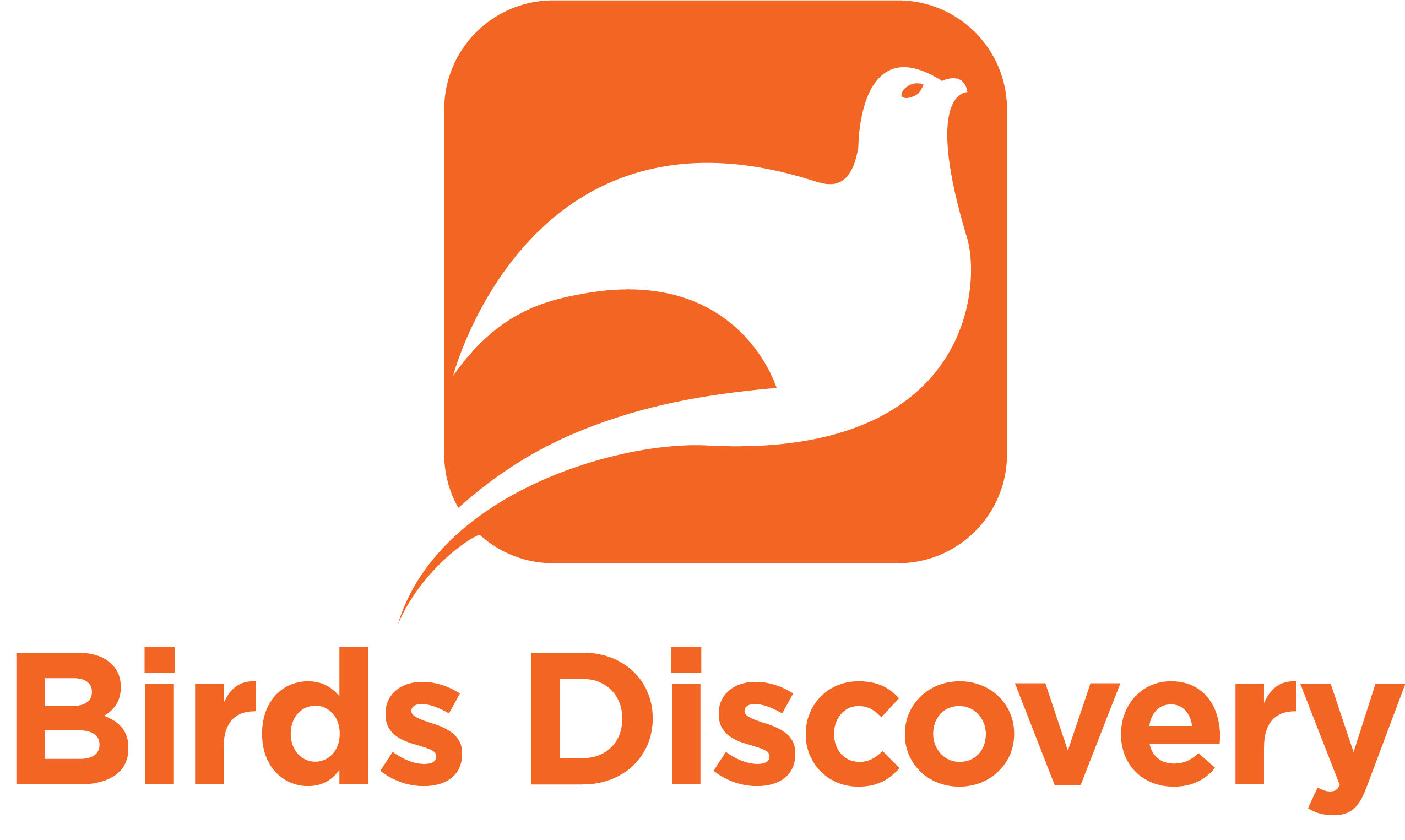 Birds Discovery