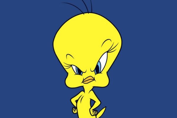 What Type Of Bird Is Tweety Bird? You Would Be Surprised