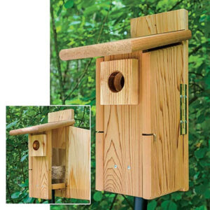 Ultimate Cedar Bluebird House With Viewing Window