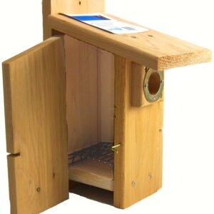 Western Bluebird Ultimate BlueBird House 7.25 IN x 9.75 IN x 14.5 IN